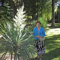 Nancy Faris Photo 11