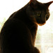 Geraldine Downing Photo 8