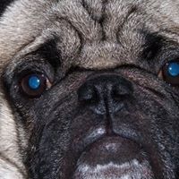 Dan Stewart Photo 23