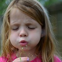 Cory Skinner Photo 19