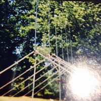 William Meeks Photo 30