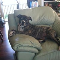 Kathleen Tuttle Photo 14