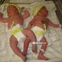 Amy Mitchell Photo 16