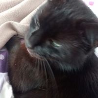 Jane Lowe Photo 28 Jane Lowe Photo 28