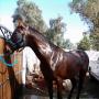 Erick Perez Photo 8