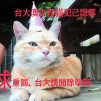 Annie Chu Photo 21
