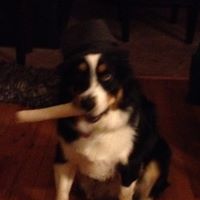 Susan Mazza Photo 23