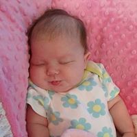 Vicki Atkins Photo 27