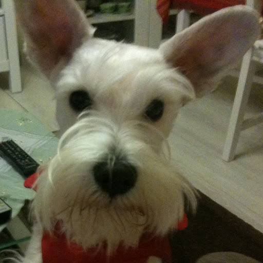 Julia Dominguez Photo 25