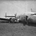 Connie Land Photo 23