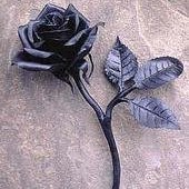 Tammy Winters Photo 37
