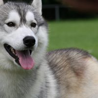 Jessie Kerr Photo 8