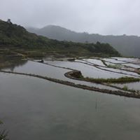 Mark Perrin Photo 46