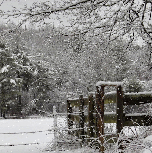 Kenneth Mcmillin Photo 8