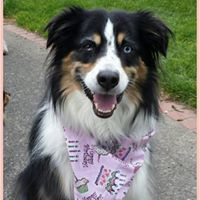 Cheryl Childress Photo 12