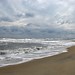 Michael Detmer Photo 11