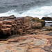 Ann Shores Photo 22
