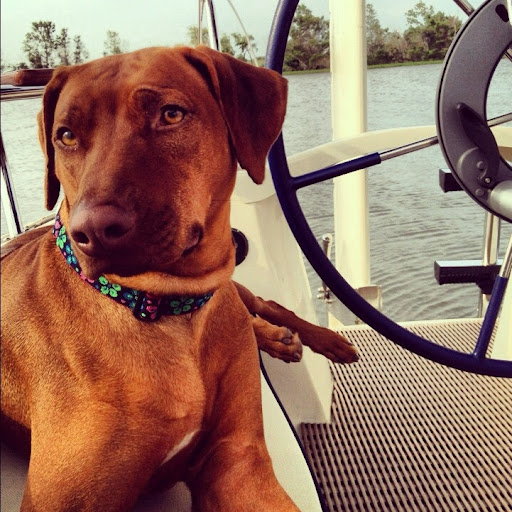 Lori Sullivan Photo 20