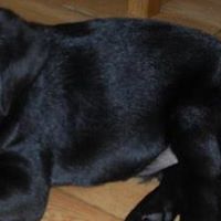 Barney Taylor Photo 10