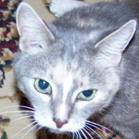 Lynn Justice Photo 29