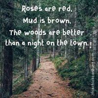 Carrie Garland Photo 29