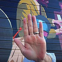 Matthew Kral Photo 17