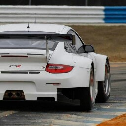 Gary Nelson Photo 24