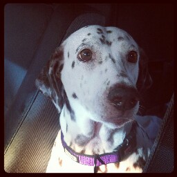 Farrah Robinson Photo 15