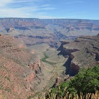 Janice Bond Photo 15