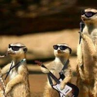 Greg Mercer Photo 31