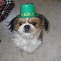 Cathy Donovan Photo 20