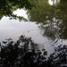 Allan Wise Photo 23