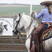 Julie Mccloskey Photo 27