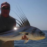 Dell Simmons Photo 6