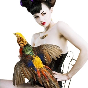 Sarah Vogel Photo 14 Sarah Vogel Photo 14