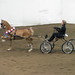 Candace Hackney Photo 3