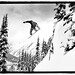 Steven Macdonald Photo 12