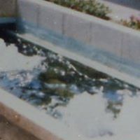 Cathy Cartwright Photo 14