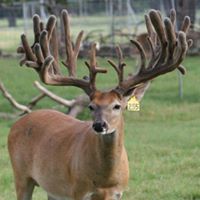 Heath Reynolds Photo 16