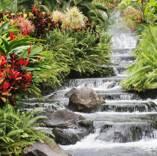 Timothy Barr Photo 16