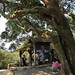 Pei Wu Photo 7