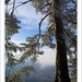 Gerald Winters Photo 7