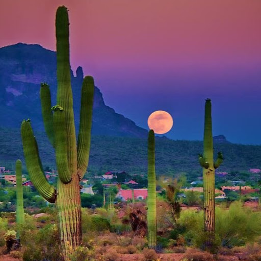 Katherine Phelps Photo 34