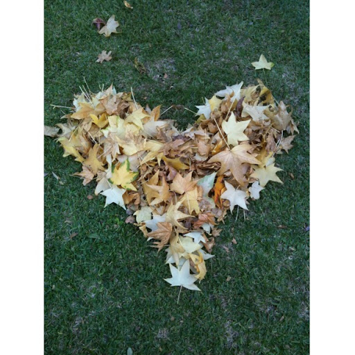 Meghan Andersen Photo 7