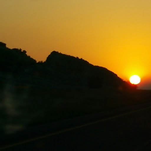 Dan Flaherty Photo 4