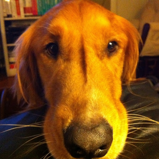 Marie Forbes Photo 7