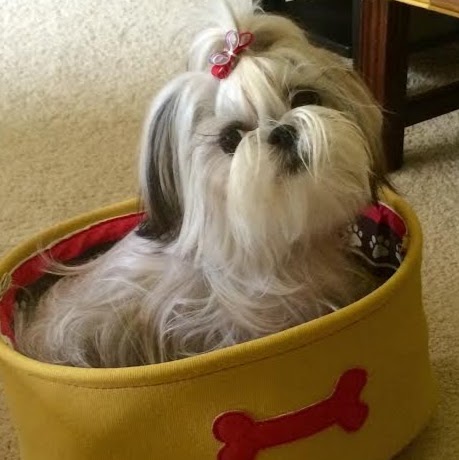 Nancy London Photo 17