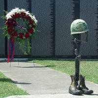 Tracey Shepard Photo 21