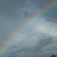 Carroll Ross Photo 8