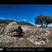Juan Nava Photo 13